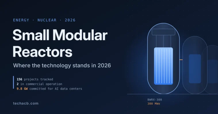 Nuclear Small Modular Reactors